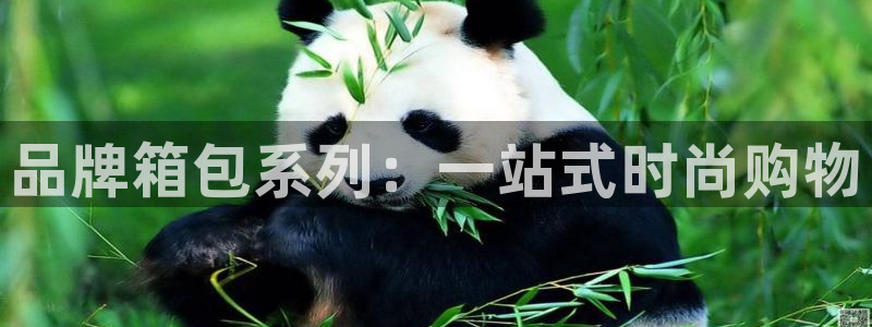 富邦娱乐官网-上全狐网