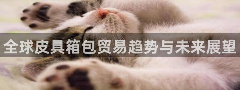 莆田富邦附近休闲娱乐场所
