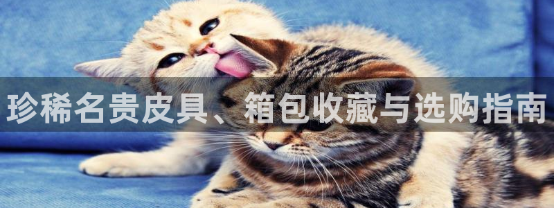 富邦娱乐团购活动时间