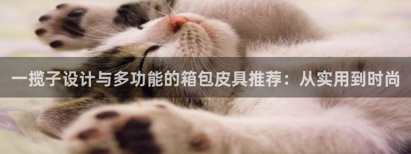富邦天日娱乐有限公司