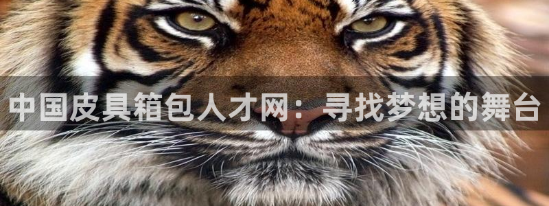 富邦电子娱乐