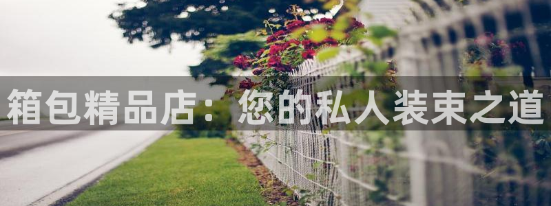 富邦娱乐 果敢锦海